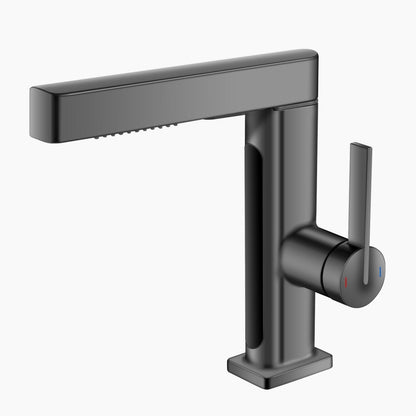 Showerprolux Single-Hole Pull-Out Faucet with Temperature Display